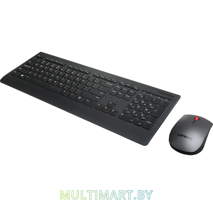Комплект клавиатура + мышь Lenovo Professional Wireless Combo